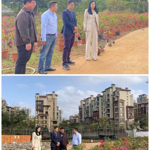 【海口玉禾田园林】2月9日园林作业情况