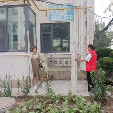 闫艳琴的简篇