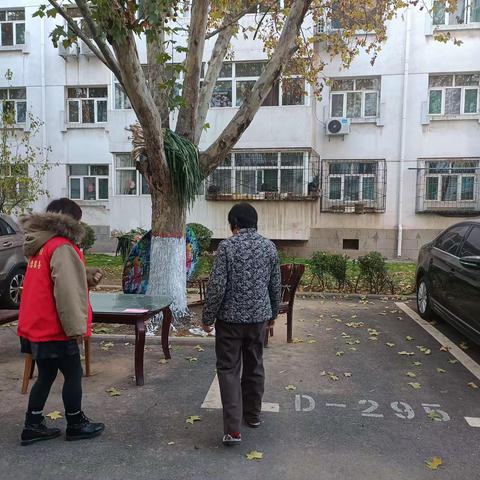 闫艳琴的简篇
