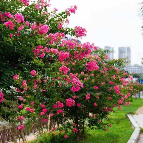 紫薇园旁问道，书香苑内引领——“宜城市镇（办）学科带头人能力提高培训班”学习总结