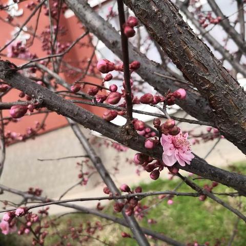 我们的2024一一九（2）班班级简报