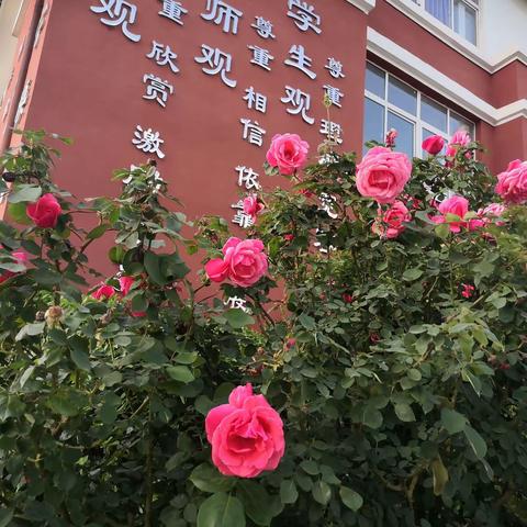 我们的2024一一九（2）班班级简报