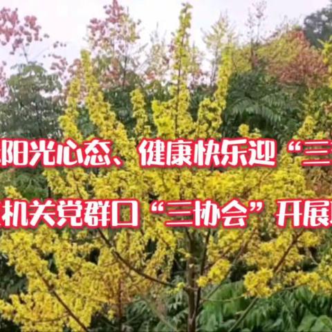 展示阳光心态、健康快乐迎“三节” ——市直机关党群口“三协会”开展联欢活动