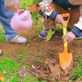 多一片绿叶🍃 多一份温馨——【太阳城幼儿园】植树节主题活动