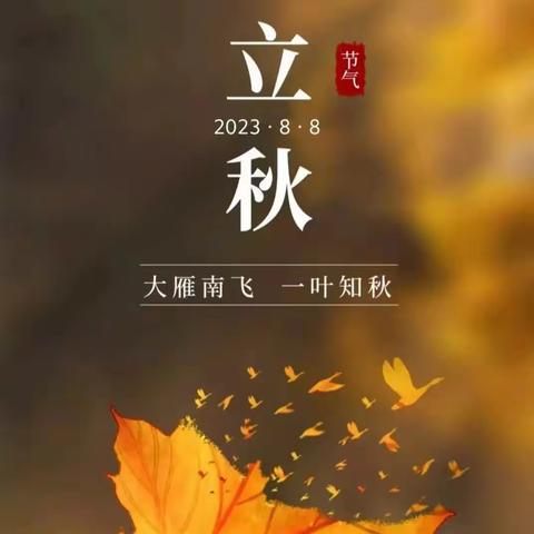 云锡·都会银座2023年8月第二周工作简报