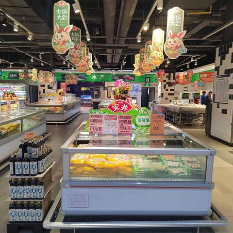 通城店冷冻食品冰柜及飞龙架陈列