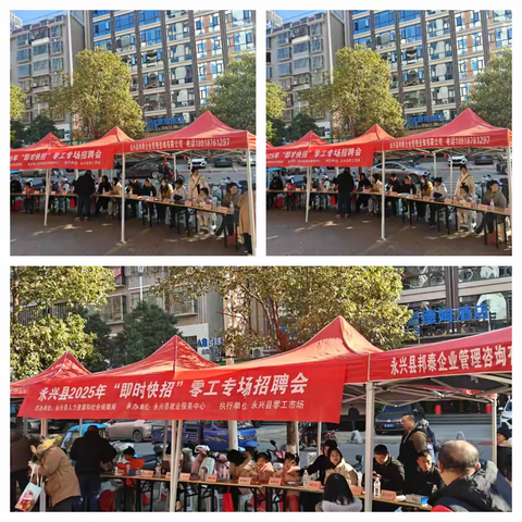 “职“引青春风帆“ 就”业永兴未来 永兴县2025年高校毕业生春季专场活动