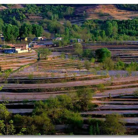 50年后，北京知青说出了埋藏心底的”秘密”