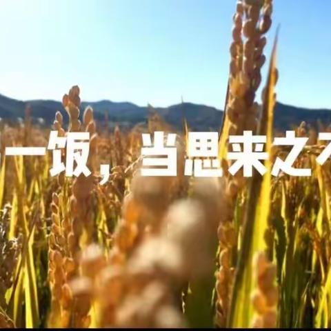 我们用行动践行节约美德 ——四年二班节约行动假期综合实践活动