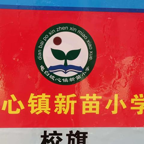 冬日暖阳下的温情家访——记坡心镇新苗小学开展寒假安全家访活动