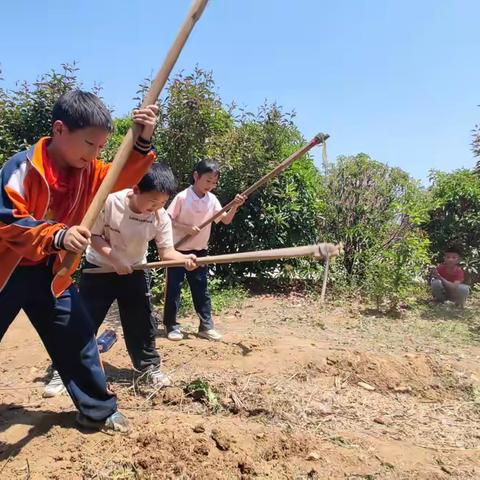 劳动最美丽，奋斗最幸福——记泗水县杨柳小学校内劳动教育实践基地