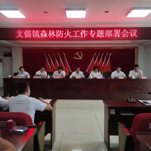 再动员 再部署 再推进丨文儒镇扎实推进森林防灭火工作