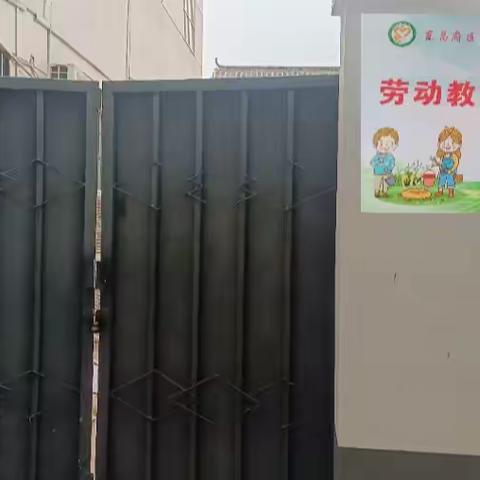 【全环境立德树人】乐享采摘趣    共沐劳动乐——民主小学劳动实践活动