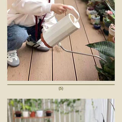 大三班第四周小记🍃