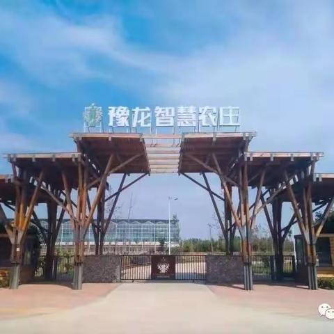 “行走天地课堂 乐游美丽家乡”濮阳市油田第四小学四年级五班研学纪实