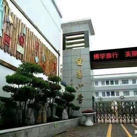 缤纷社团 魅力望嵩——望嵩小学社团活动（11月8日）