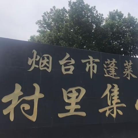 专业引领指方向   倾情指导促成长——区教研室领导走进村里集小学听课指导