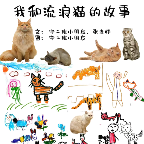 【唐山五幼】中二班周分享活动《我和流浪猫的故事》