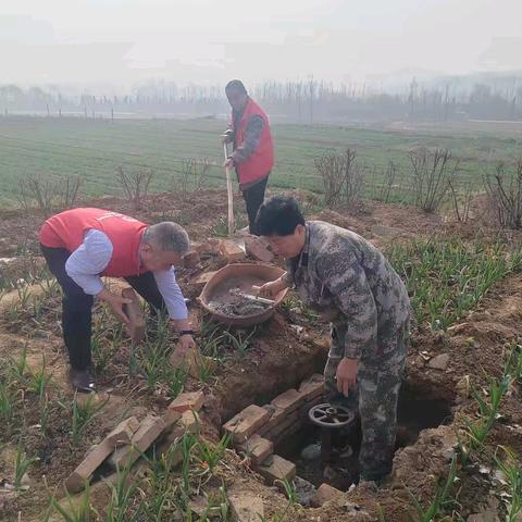 干群合力抢修保护井，筑牢基础设施保障防线