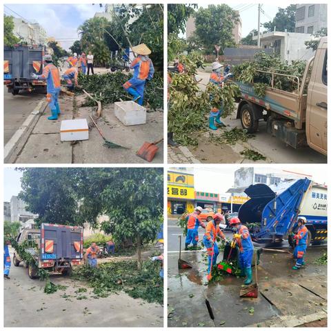 台风过境，京美公司大致坡中心凝聚力量恢复家园