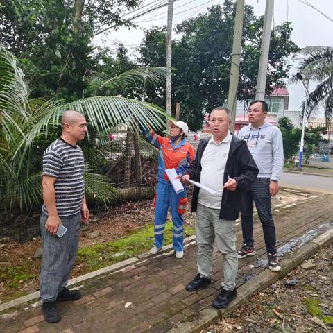 美兰区环卫局城乡环境一体化11月份巡查大致坡三江镇工作。