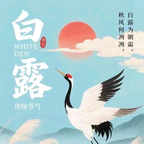 惠民县石庙镇中心幼儿园中班近期精彩回顾