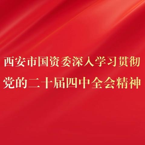 西安市国资委党员干部热学热议党的二十届四中全会精神（2）