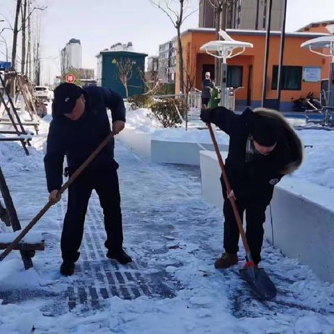 清冰除雪解民忧    保障出行暖人心——游园办全员齐上阵开展清雪活动