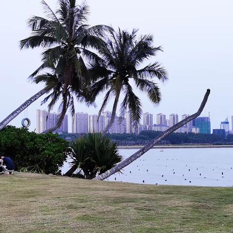 岩城八骑手环骑海南岛（下篇）