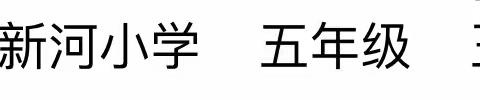 喜报：新河小学师生在“2023年平度市第六届小学生金秋作文大赛大赛”中获奖