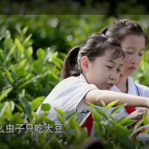 张杨小学2023年开学第一课观看总结