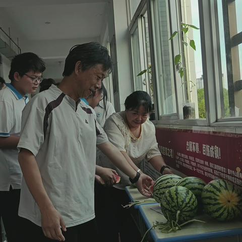 盛夏的清甜与期许：泗阳致远中学学子以瓜香寄寓高考祝福