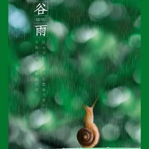 雨润百谷，万物生长——弋阳县第二幼儿园二十四节气之谷雨