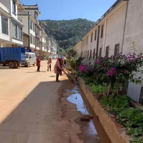 龙树社区开展迎新春人居环境整治行动