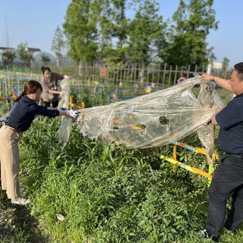 洒一片绿，播一份情。给绿植浇水，除草，松土。用心呵护 ，静待花开！——记录劳动的瞬间～