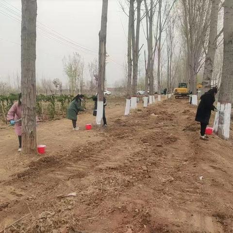 路域整治再发力 绘就乡村新画卷