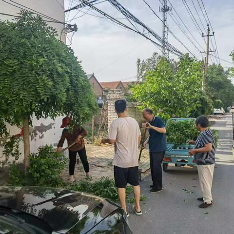 凝心聚力绘新景 ﻿环境提升展新颜