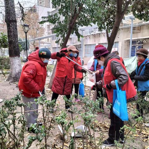 庆元旦—西仪社区开展环境整治活动