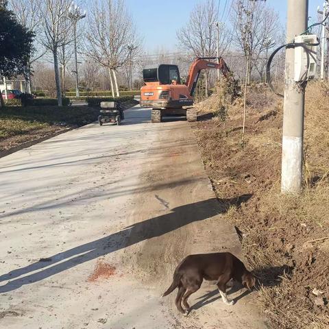 关爷庙村干干净净迎新春