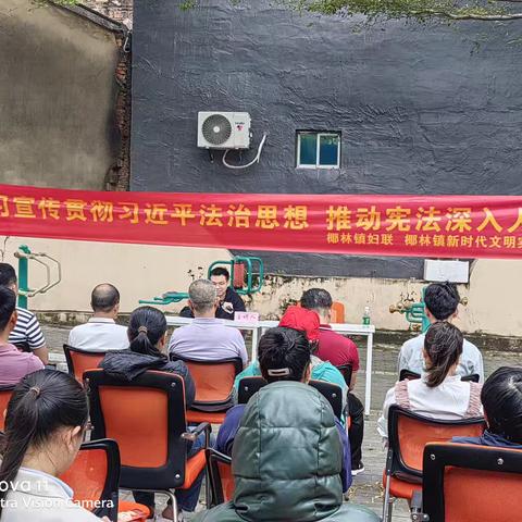 椰林镇开展“12·4”国家宪法日主题宣传活动