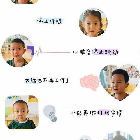 一只大鹅的死亡引发的“生命教育”——清华园伟才幼儿园中二班