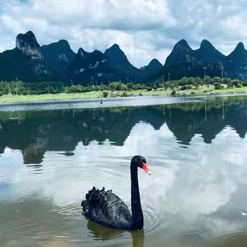 《山水为笺，写满与桂林的私语》