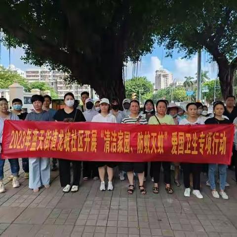 美兰区蓝天街道开展“清洁家园、防蚊灭蚊”爱国卫生百日专项行动