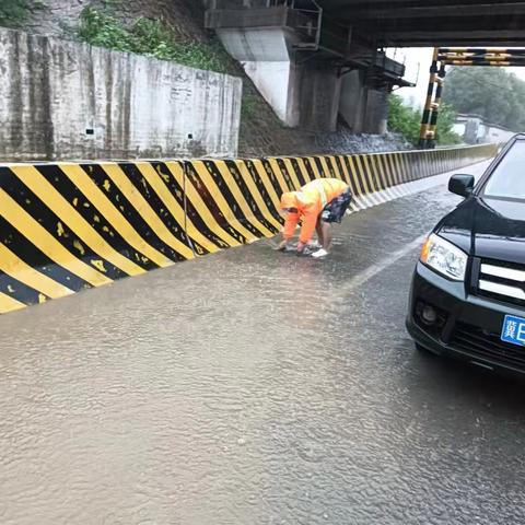 风雨中那一抹橙色