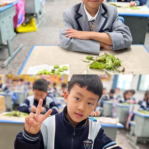 剥蚕豆啦