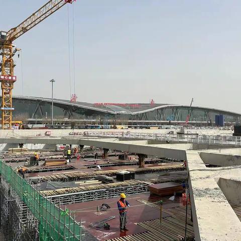 小小安全带,情系千万家