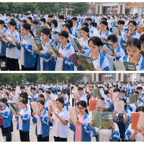 临高中学第六周工作简报 （2025.10.9-2025.10.12）