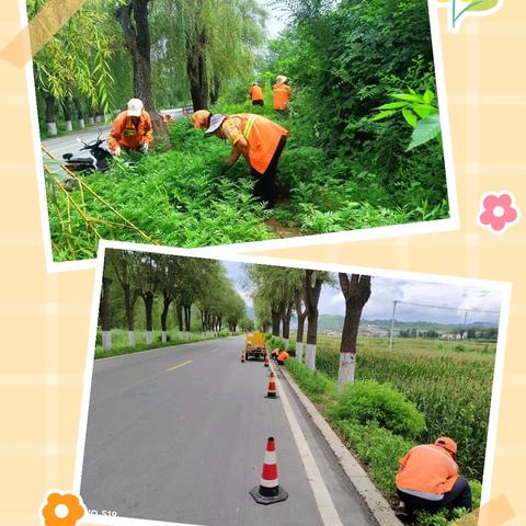 雨后除草护绿忙