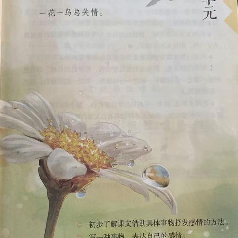 1908班第三周总结