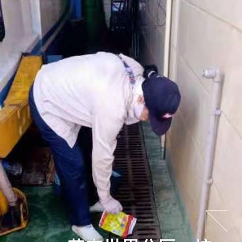 2023年7月28日海南昱科在凤翔街道五岳村委会花卉世界病媒生物防制消杀的工作情况